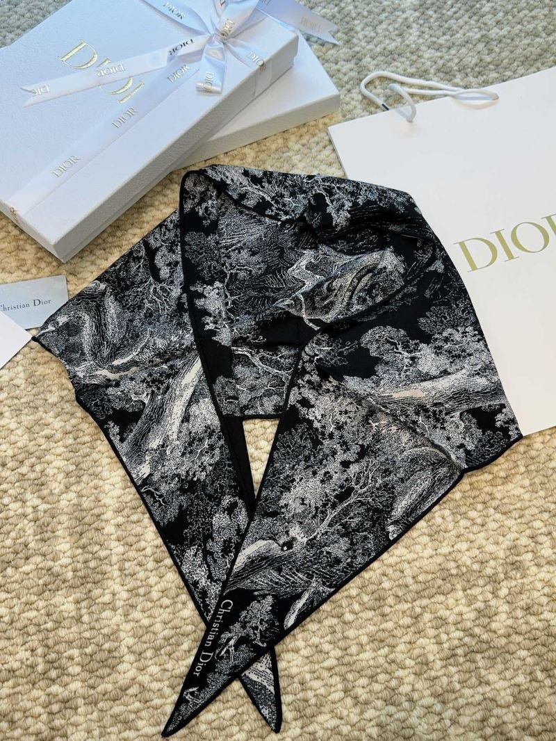 Christian Dior Scarf